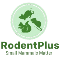 Logo-Transparent-1-scaled