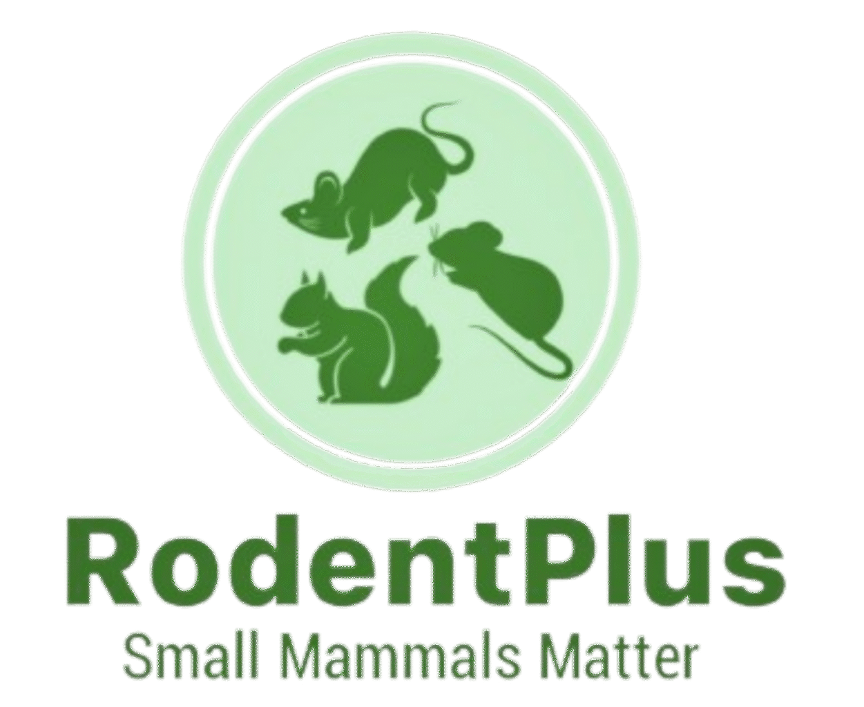 Logo Transparent
