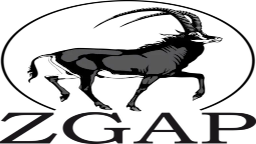 Logo-ZGAP-e1771494466682-255x300